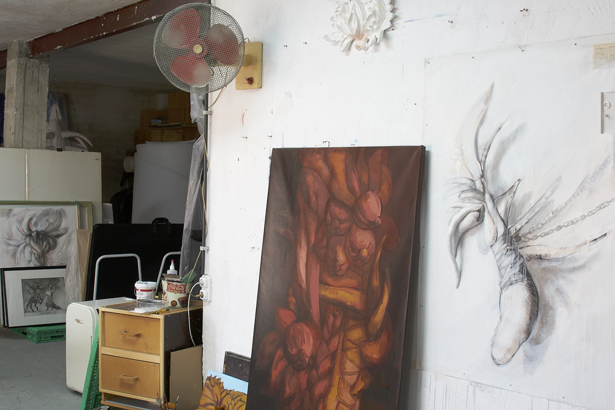 studio Elche